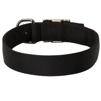 Nylon Collar for English Pointer Comfy Training