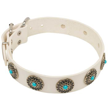 Leather Dog Collar White Exclusive for   English Pointer Walking