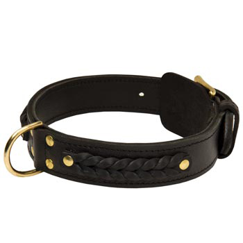 Braided English Pointer Leather Dog Collar 