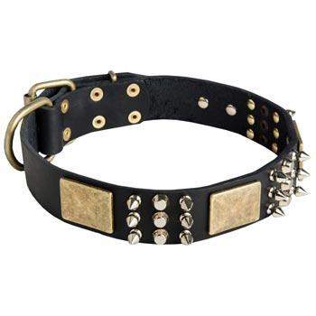 Stylish Wide Leather Dog Collar for English Pointer Walking