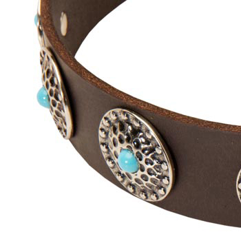 Blue-Stones Leather English Pointer Collar