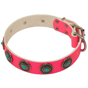 Safe Walking Leather   English Pointer Сollar Pink Studded