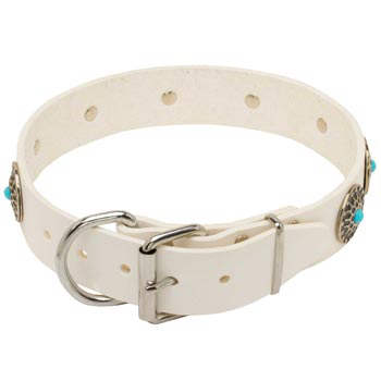 Leather   English Pointer Collar White Fancy for Dog Training, Walking