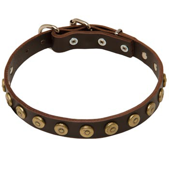 1 inch Wide Leather English Pointer Collar