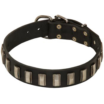 Walking Leather Dog Collar for English Pointer