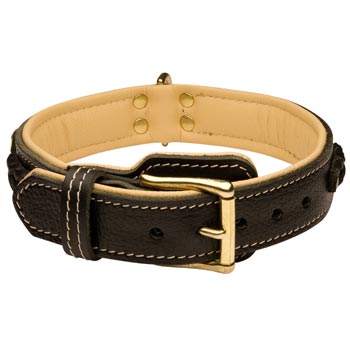 English Pointer Decorated  Leather Dog Collar