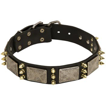 Vintage Leather Collar for English Pointer