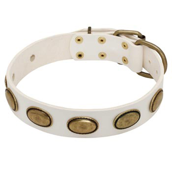 White Leather English Pointer Collar with Vintage Oval Plates