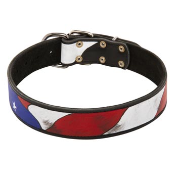 Training English Pointer Leather Colored Handcrafted  