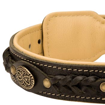  Leather Walking Fashion Collar for English Pointer