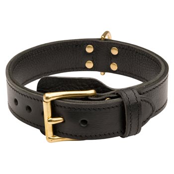 English Pointer  Leather Collar with Easy in Use Buckle