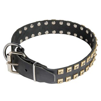Leather English Pointer Collar with Solid Rivets