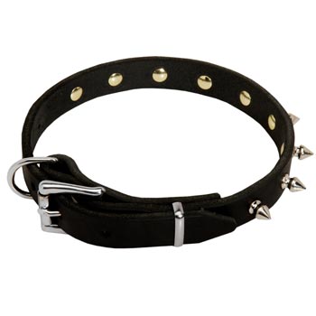 English Pointer Dog Leather Collar Steel Nickel Plated Spikes