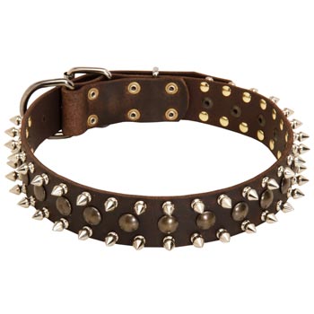 English Pointer Leather Collar with Stylish Decoration