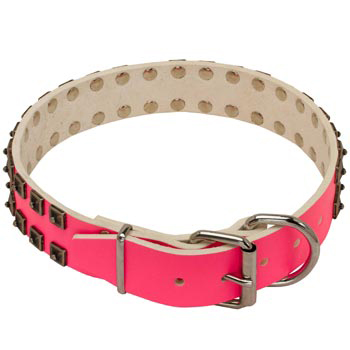 English Pointer Pink Leather Collar for Walking She-Dogs