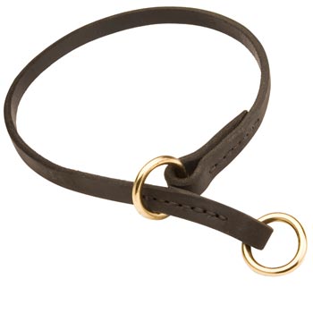 English Pointer Obedience Training Choke  Leather Dog Collar