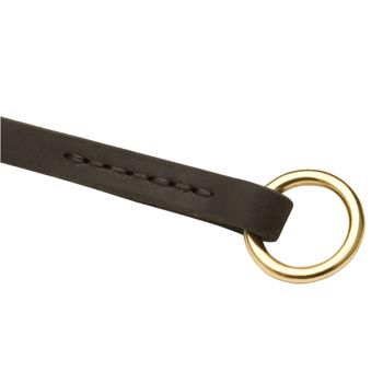  Leather Choke Collar for English Pointer Training