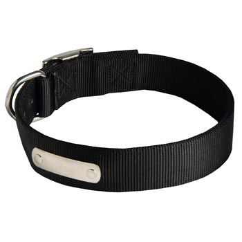 Nylon English Pointer Collar with Identification Tag