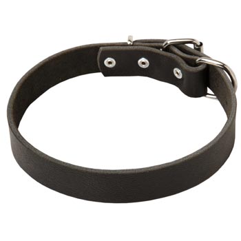 Leather Dog Collar Simple  Design for English Pointer