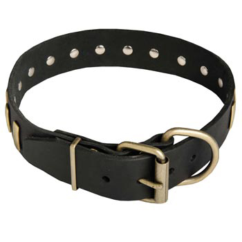 Unique Design Leather Dog Collar with Adjustable Buckle for   English Pointer