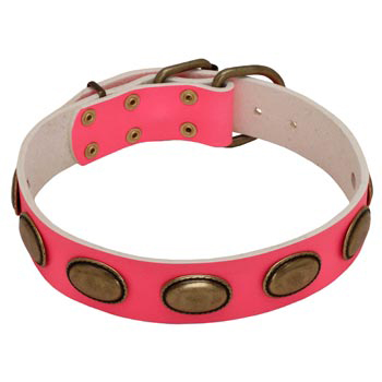 Pink Leather English Pointer Collar for Female Dogs