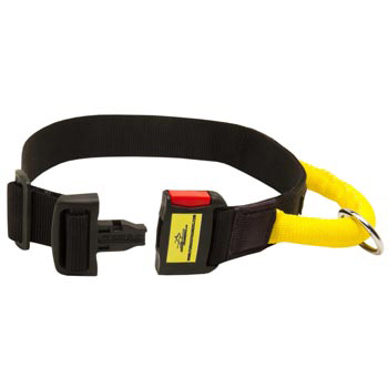Nylon English Pointer Collar with Quick Release Buckle