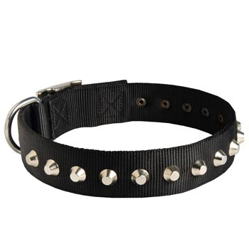 Walking Nylon   English Pointer Collar Nickel Studded Waterproof