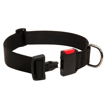 Reliable Nylon English Pointer Collar