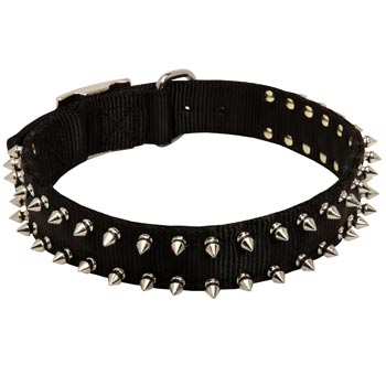 English Pointer Dog Nylon Collar Steel Nickel Plated Spikes