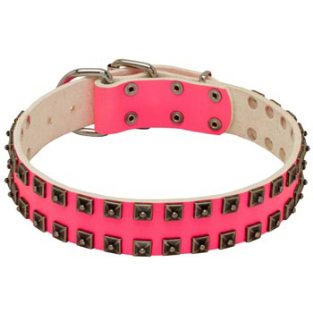 Studded Pink Leather Collar for English Pointer She-Dogs