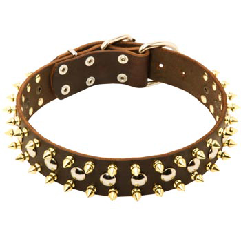 Leather Collar for English Pointer with Solid Fittings