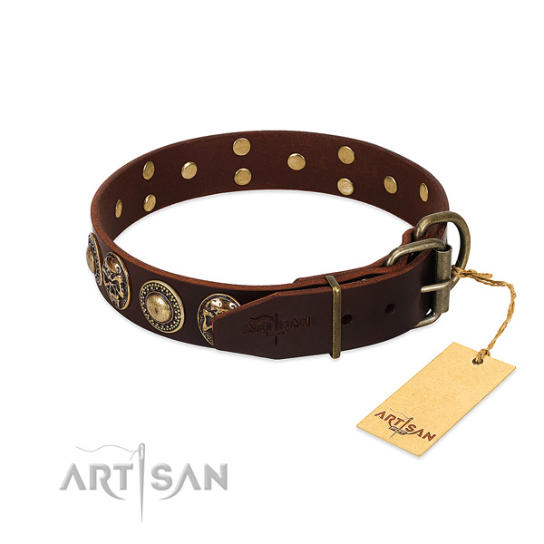 Rust resistant fittings on everyday use dog collar
