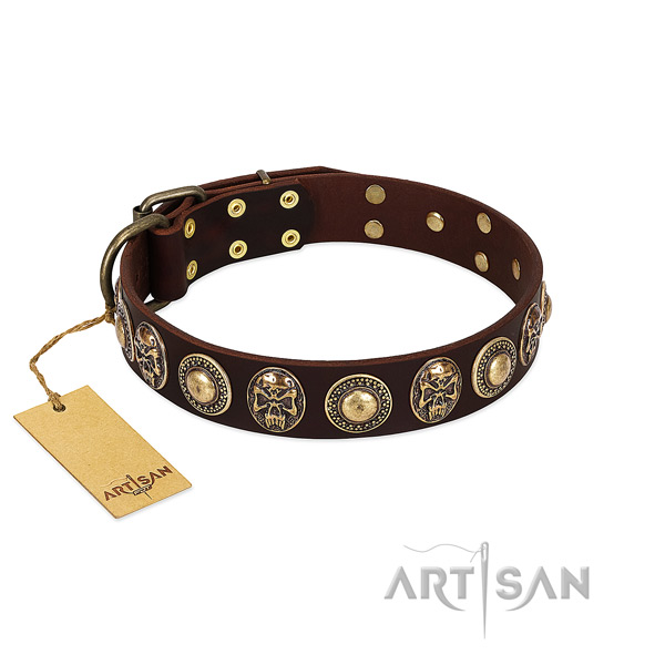 Exceptional full grain natural leather dog collar for everyday use