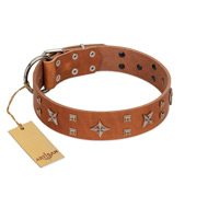 "Dreamy Gleam" FDT Artisan Tan Leather English Pointer Collar Adorned with Stars and Squares