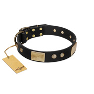 "Antique Gloss" FDT Artisan Black Leather English Pointer Collar with Bronze-like Plates and Small Studs