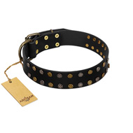 "Star Way" FDT Artisan Black Leather English Pointer Collar with Bronze-like and Silver-like Star Studs