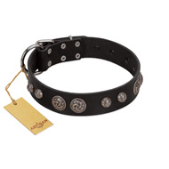 "Tricky Ricky" FDT Artisan Black Leather English Pointer Collar Adorned with Silver-Like Conchos