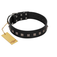 "Natural Beauty" Premium Quality FDT Artisan Black Designer English Pointer Collar with Dotted Studs