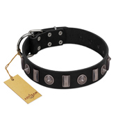 "Silver Spikes" Exclusive FDT Artisan Black Leather English Pointer Collar