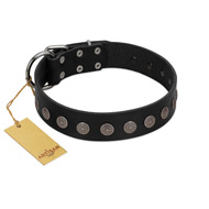 "Silent Star" Handmade FDT Artisan Designer Black Leather English Pointer Collar with Engraved Plates