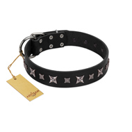 "Polar Lights" Designer FDT Artisan Black Leather English Pointer Collar with Silver-Like Studs