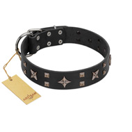 "Star Excitement" Modern FDT Artisan Black Leather English Pointer Collar with Studs and Stars