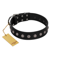 "Silver Flower" Exclusive FDT Artisan Black Leather English Pointer Collar with Silver-Like Studs