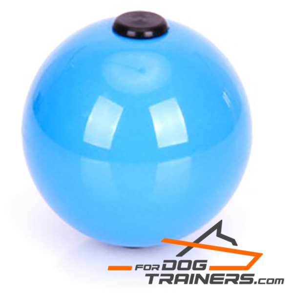 Blue dog ball for Training