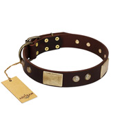 "Middle Age" FDT Artisan Brown Leather English Pointer Collar with Old Bronze-Plated Engraved Flowers and Large Plates