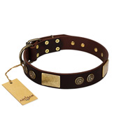 "Bow-Wow Effect" FDT Artisan Brown Leather English Pointer Collar with Plates and Ornate Studs