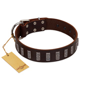 "Brown Lace" Handmade FDT Artisan Brown Leather English Pointer Collar for Everyday Walks