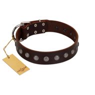 "Spring Flower" Stylish FDT Artisan Brown Leather English Pointer Collar for Comfy Walks
