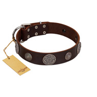"Flashy Woof" FDT Artisan Brown Leather English Pointer Collar with Chrome Plated Brooches