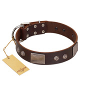 "Stone Stars" Stylish Handmade FDT Artisan Brown Leather English Pointer Collar
